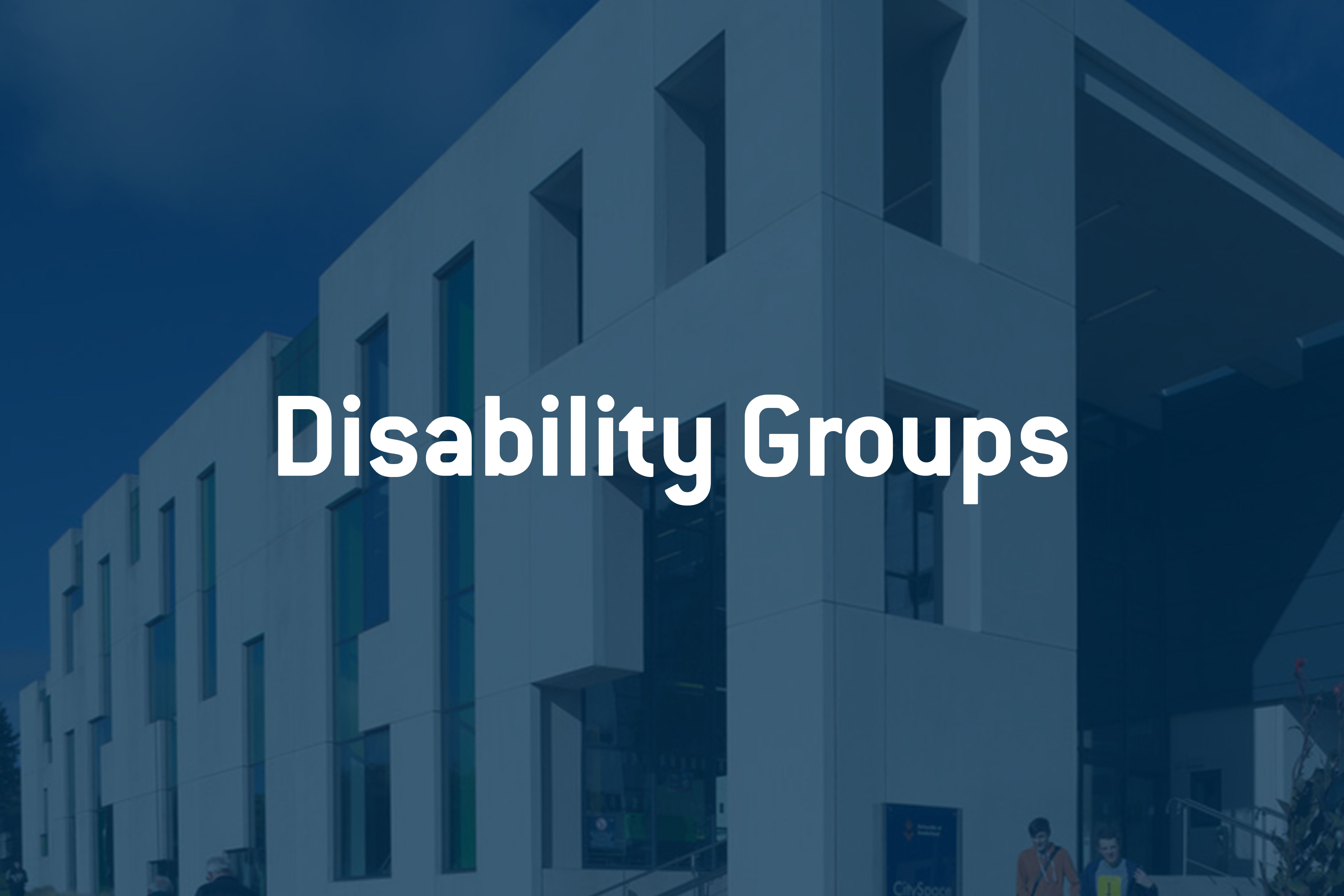 Disability groups image