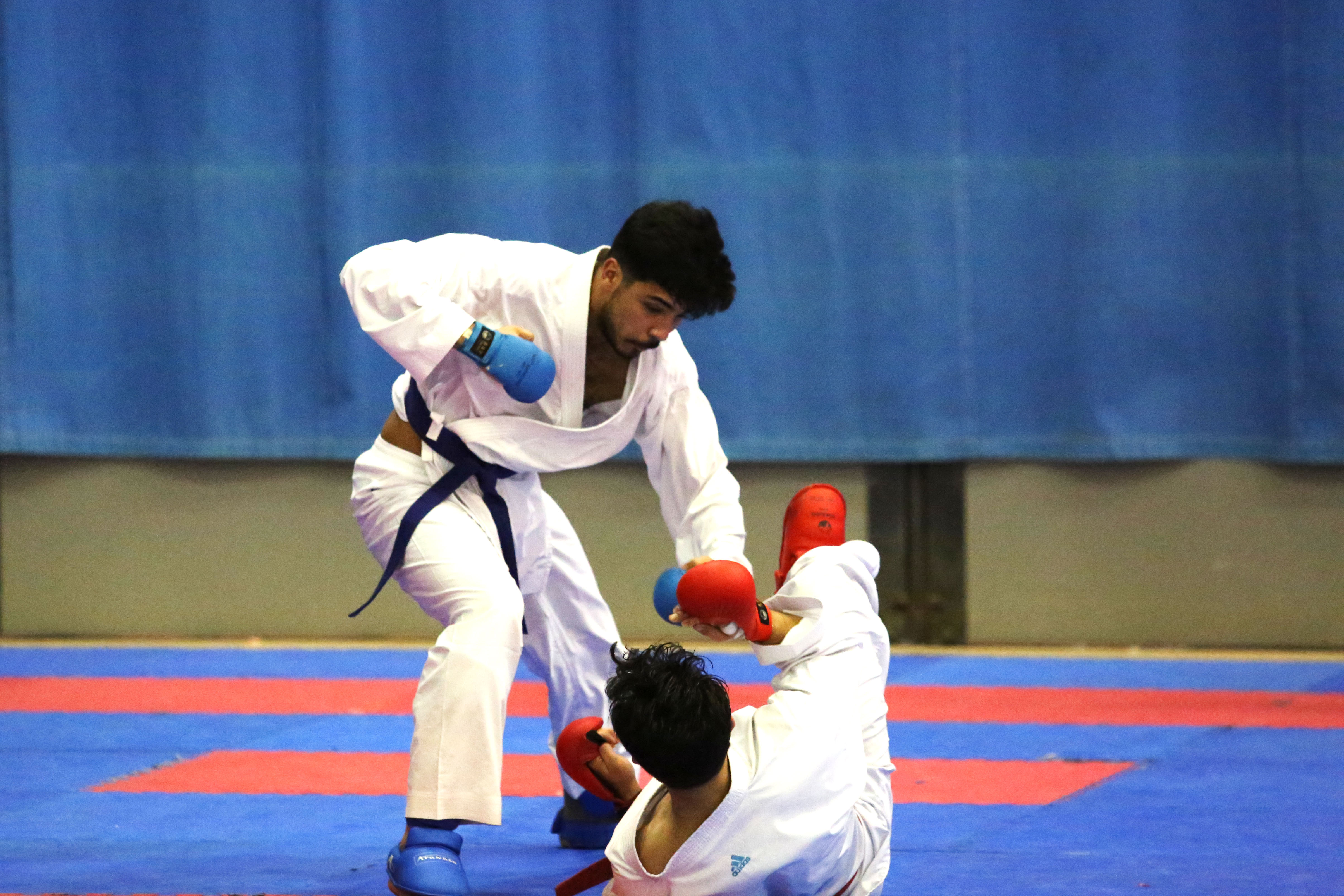 Martial Arts