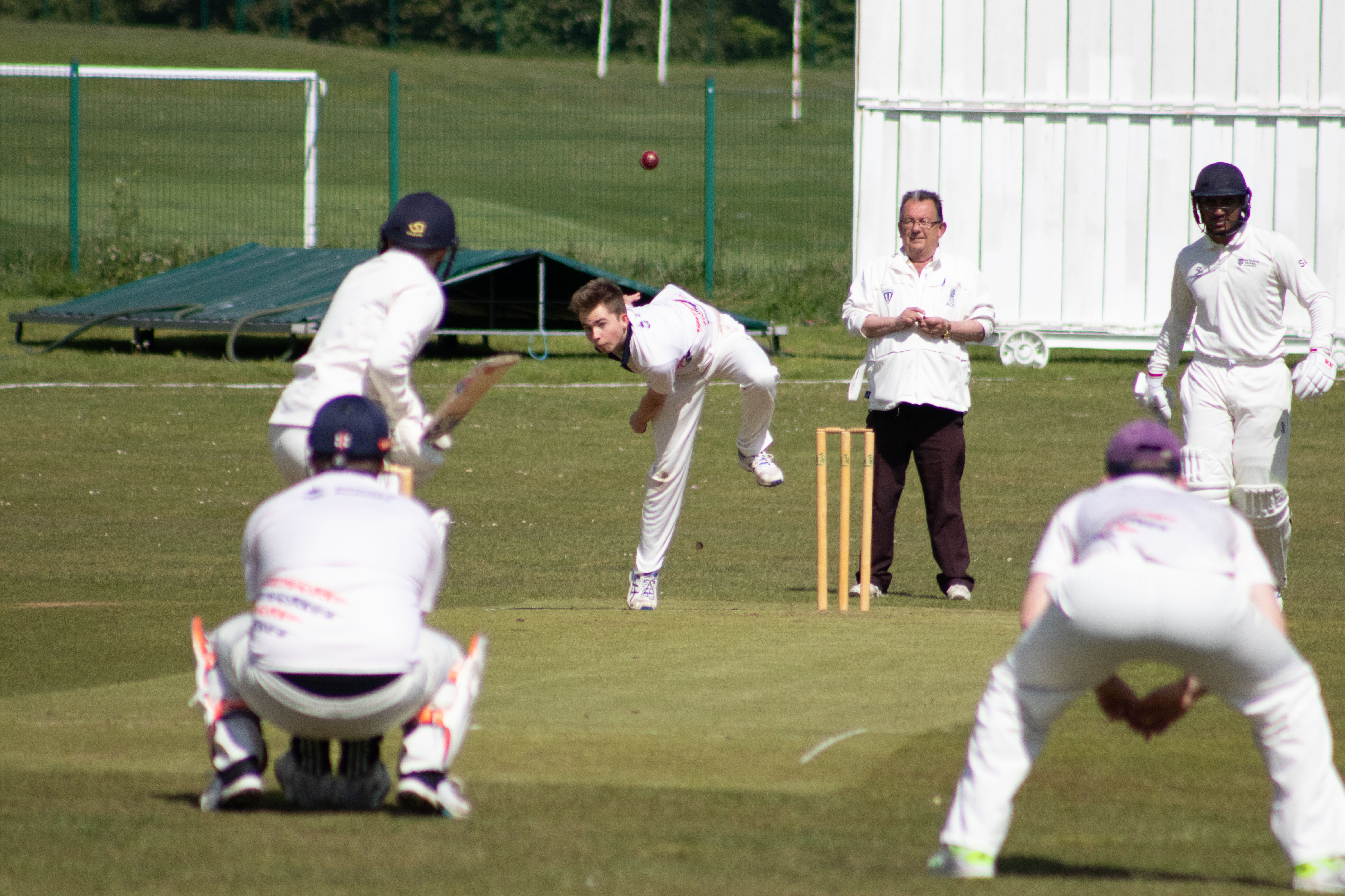 Cricket 2021